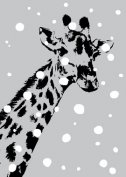 Carte postale Giraffe
