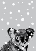 Carte postale Koala