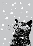 Carte postale Chat