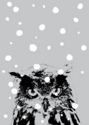 Carte postale Hibou