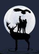 Carte postale Pleine Lune