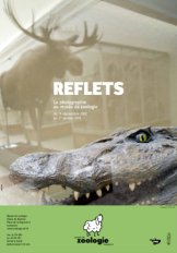 Reflets, exposition au Musée de Zoologie Lausanne